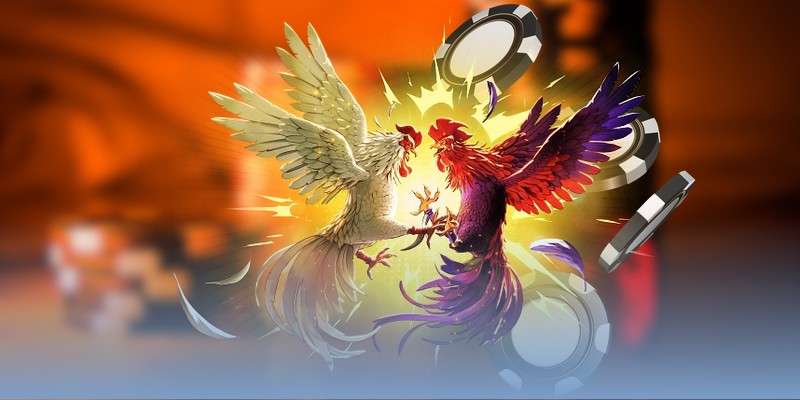 Các kèo chơi đá gà Thomo online thịnh hành