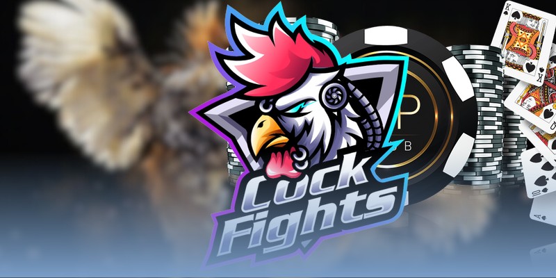 Chơi đá gà Thomo online