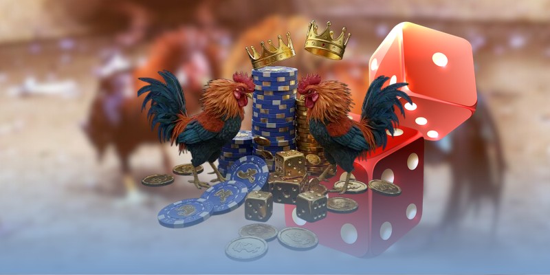 Cửa BDD có tỷ lệ thưởng cao & khủng