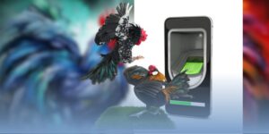 Gà Thomo thắng liên tục