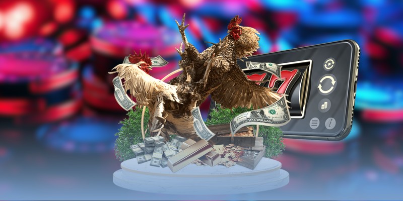 Gà mỹ mang đến cú đá liên hoàn & cực chất