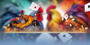 Highlight đá gà Thomo