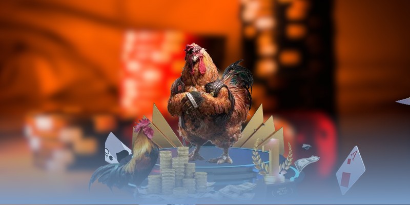 Hướng dẫn cách đơn giản để xem highlight chọi gà Thomo