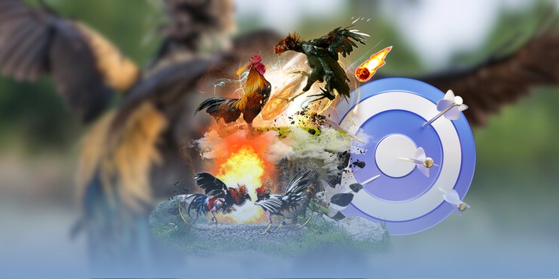 Hướng dẫn chinh phục hình thức đá gà tre Thomo