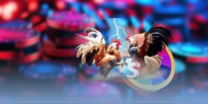 Kinh nghiệm chơi đá gà Thomo