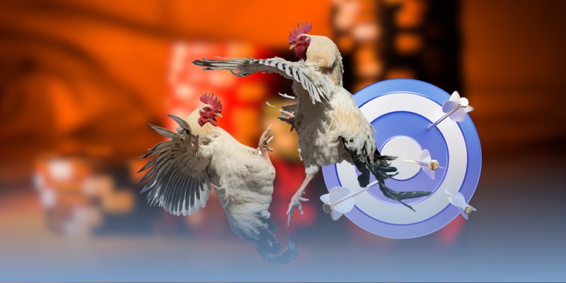 Kinh nghiệm chơi đá gà Thomo &amp; mẹo chơi dễ thắng nhất