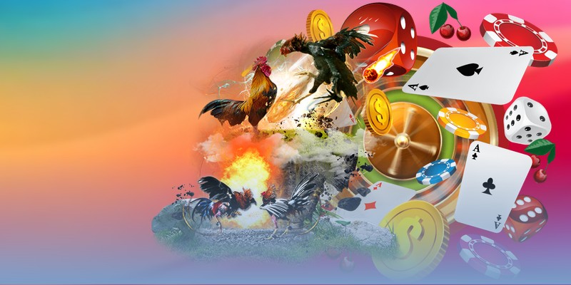 Kinh nghiệm xem tướng chiến kê qua việc vận động