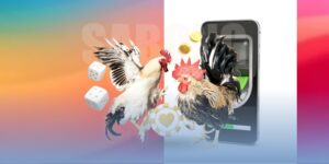 Mẹo nuôi gà đá sung