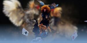 Mẹo soi kèo đá gà Thomo