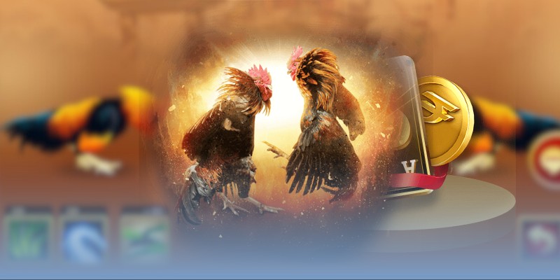 Mẹo thắng đá gà Thomo