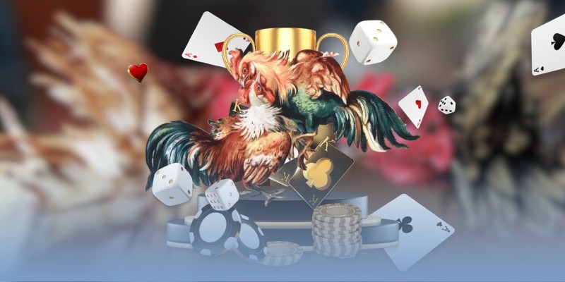 Mẹo cược hiểu kỹ & rõ luật tham gia