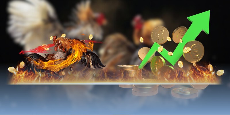 Mẹo nuôi gà đá sung dựa vào kế hoạch ăn uống