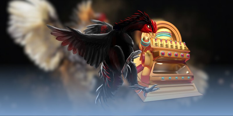 TOP gà chiến Thomo nổi bật & thú vị hiện nay