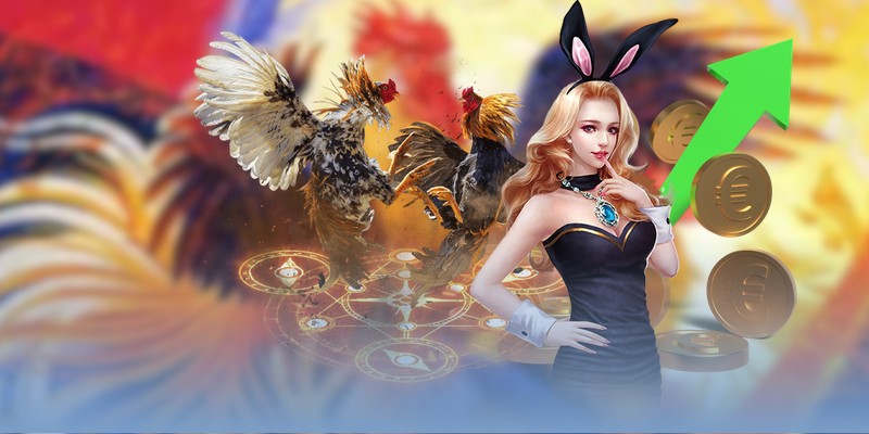 Thông tin tổng quát về lịch đá gà Thomo