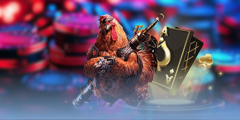 Tổng hợp đường link xem đá gà Thomo mượt mà &amp; an toàn