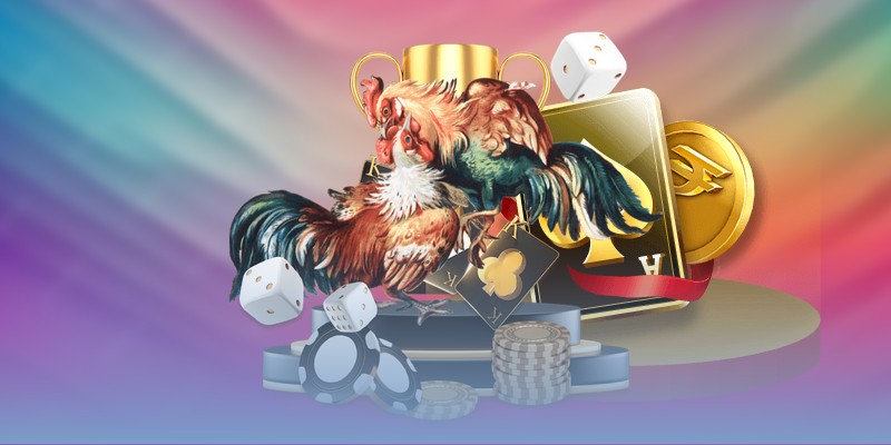 Tổng quát về địa chỉ Thomo trường gà