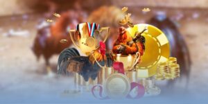 video đá gà Thomo