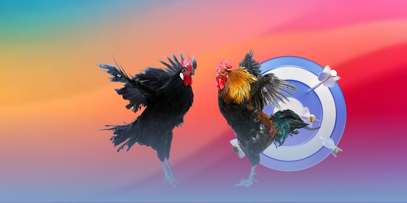 Đá gà Thomo có nhiều giấy phép chứng minh độ uy tín, chất lượng.